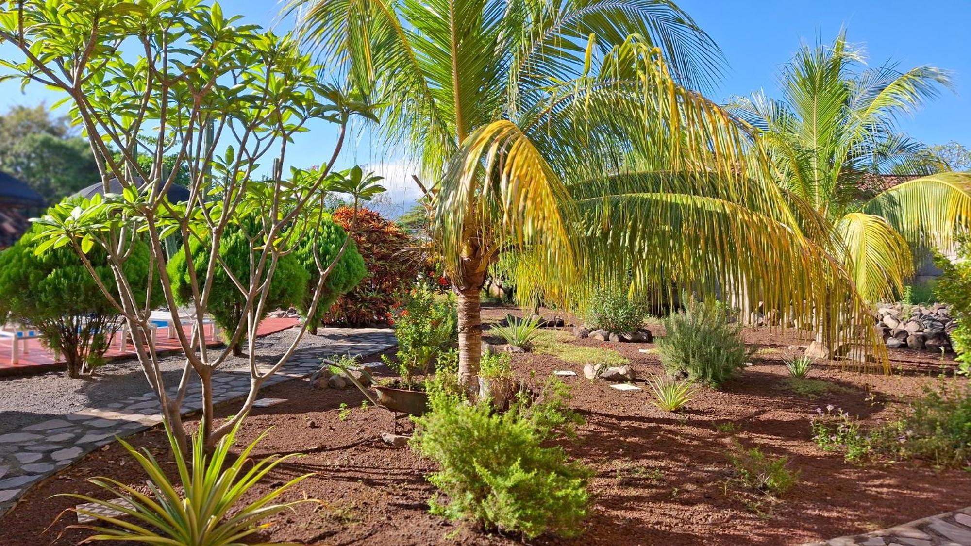 Hotel Jardin Garden De Granada Nicaragua Kültér fotó