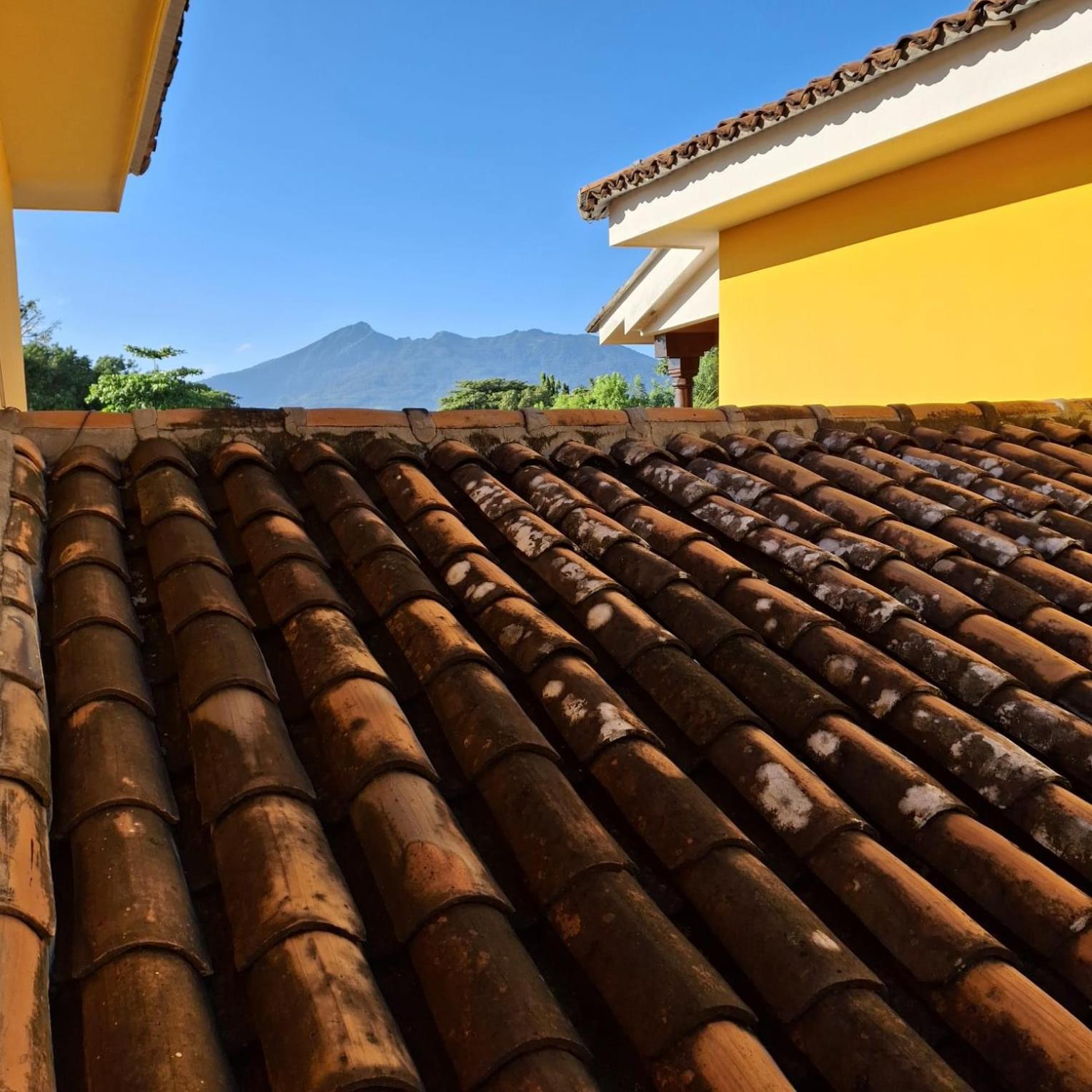 Hotel Jardin Garden De Granada Nicaragua Kültér fotó